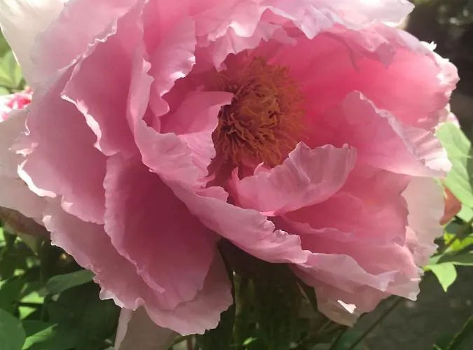 Maison Montello بيت للعطل *