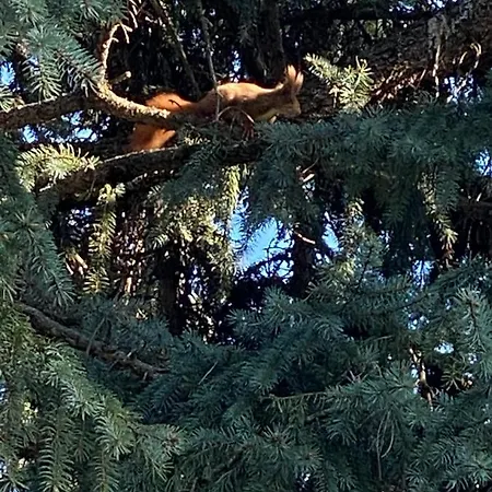 Feriehus Maison Montello