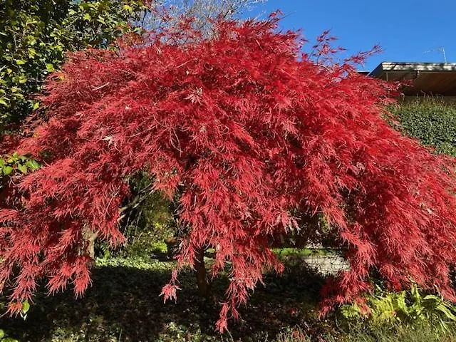 Maison Montello 度假居 瓦雷泽